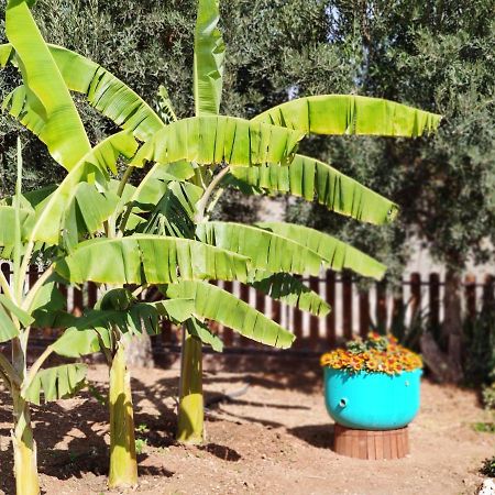 阿桂姆斯La Casita Del Naranjo别墅 外观 照片