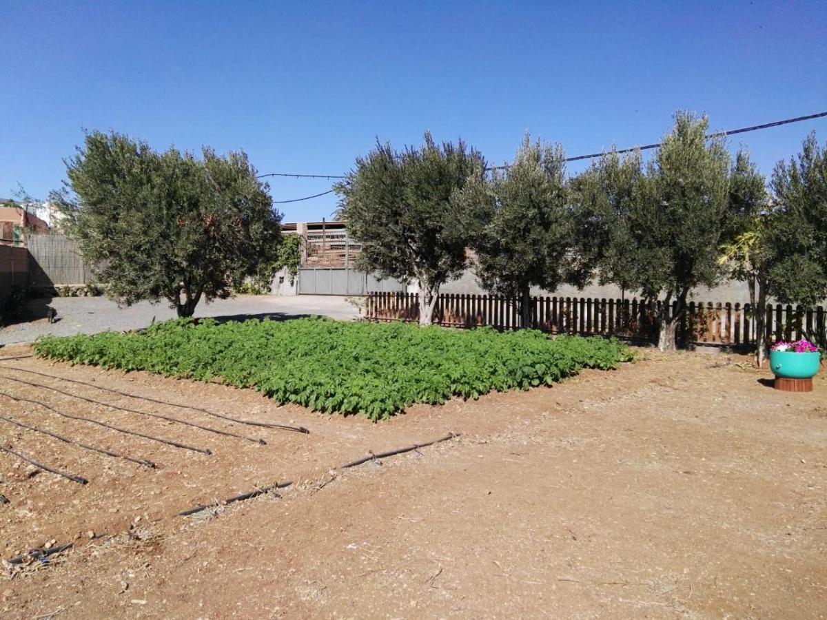 阿桂姆斯La Casita Del Naranjo别墅 外观 照片